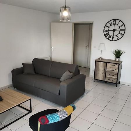 Spacieux Et Joli Appartement De 2 A 4 Personnes • Parking • Wifi Fenouillet  Zewnętrze zdjęcie