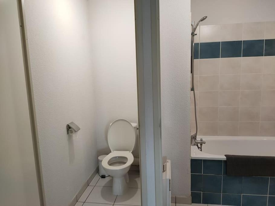 Spacieux Et Joli Appartement De 2 A 4 Personnes • Parking • Wifi Fenouillet  Zewnętrze zdjęcie