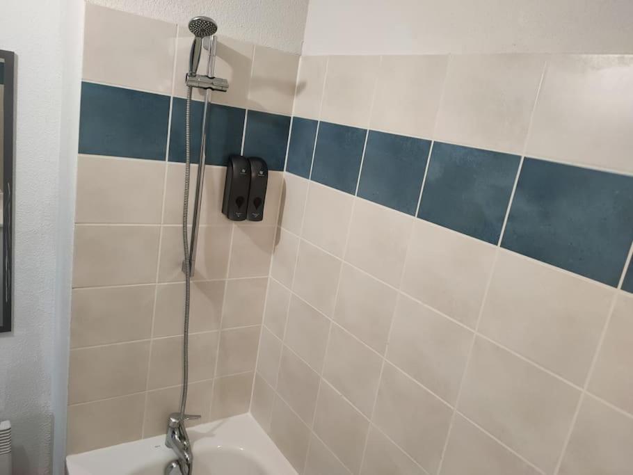 Spacieux Et Joli Appartement De 2 A 4 Personnes • Parking • Wifi Fenouillet  Zewnętrze zdjęcie