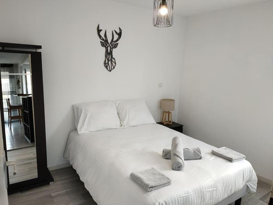 Spacieux Et Joli Appartement De 2 A 4 Personnes • Parking • Wifi Fenouillet  Zewnętrze zdjęcie