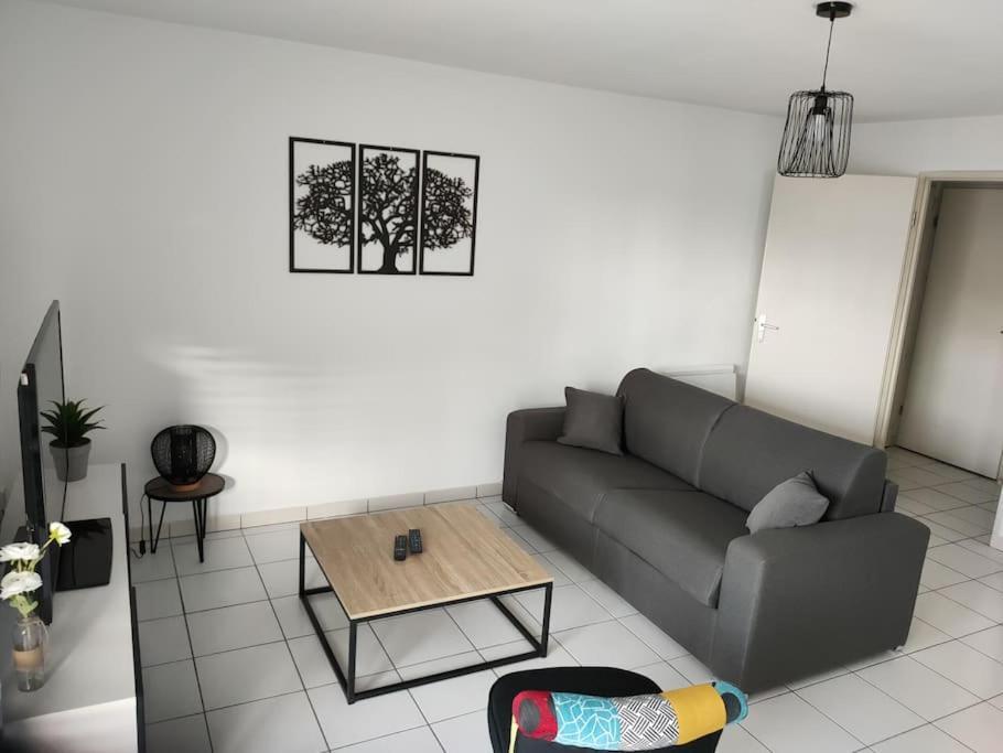 Spacieux Et Joli Appartement De 2 A 4 Personnes • Parking • Wifi Fenouillet  Zewnętrze zdjęcie