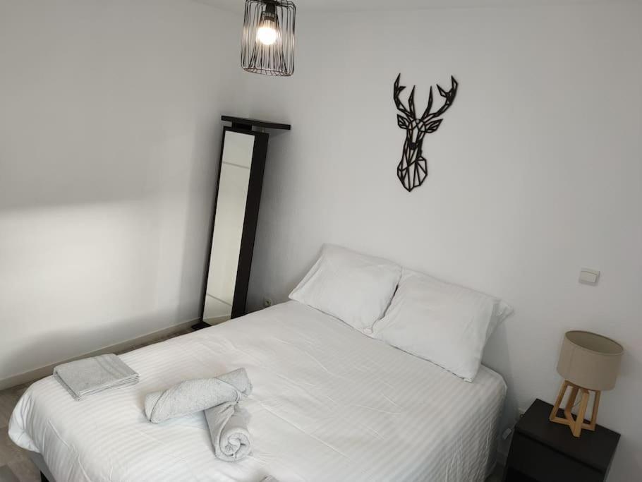 Spacieux Et Joli Appartement De 2 A 4 Personnes • Parking • Wifi Fenouillet  Zewnętrze zdjęcie